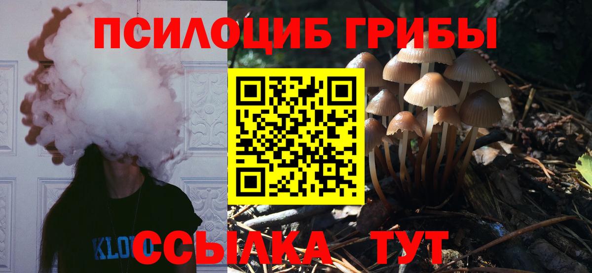 Псилоцибиновые грибы прущие грибы  купить  сайты  Семёнов  Вход с VPN 