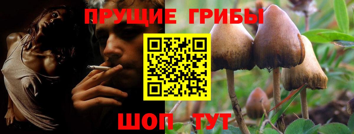 Псилоцибиновые грибы GOLDEN TEACHER Семёнов